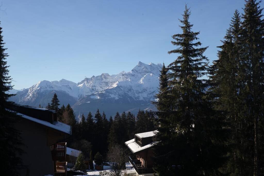 Route De La Residence Villars-sur-Ollon Eksteriør bilde