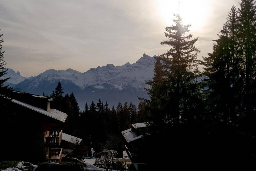 Route De La Residence Villars-sur-Ollon Eksteriør bilde